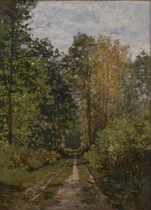 Strada forestale - Arp Museum Bahnhof Rolandseck, Remagen
